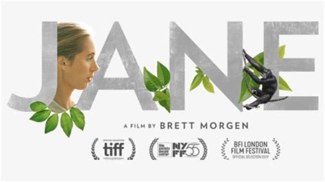 Jane Goodall Documentary, HD Png Download , Transparent Png Image - PNGitem