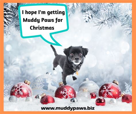 Muddy-Paws-Christmas-1 - Muddy Paws