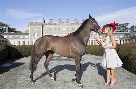 Launch of Fairyhouse Races with Vogue Williams - Jennifer Wrynne