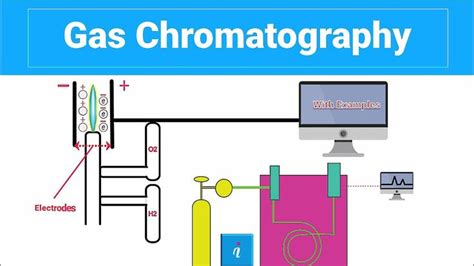 Gas Chromatography (WITH EXAMPLES) | Gas chromatography, Gas, Example