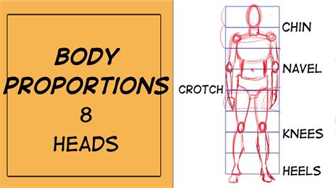 How to draw the HUMAN BODY PROPORTIONS CORRECTLY 8 HEADS - YouTube