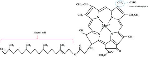 The chemical structure of typical chlorophyll molecule. Chlorophyll a ...