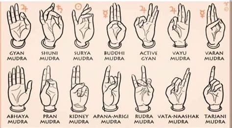 🕉️☯️ theconscioussoul ☯️🕉️ on Instagram: "Mudras are hand gestures during meditation that ...