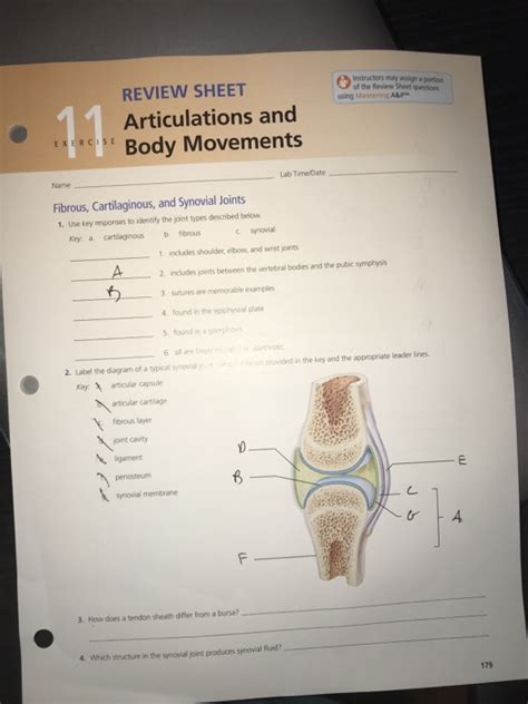 Exercise 13 Articulations And Body Movements Answer Key 49+ Pages Explanation [1.2mb] - Updated ...