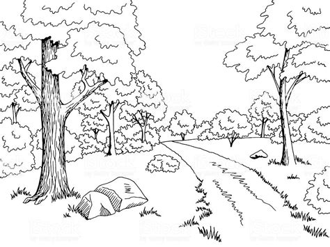 Forest Road | Black and white landscape, Landscape sketch, Forest road