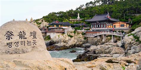 Visiting Haedong Yonggungsa Temple in Busan | South Korea Travel Guide