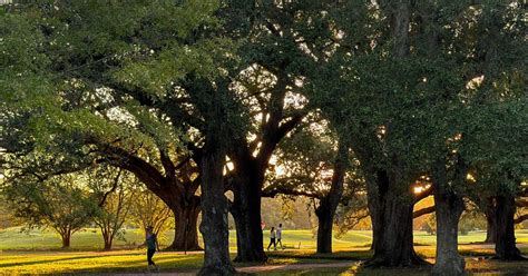 New Orleans weather forecast: Cold front to drop temps in LA | News ...