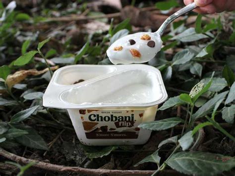 Chobani Flip S’more S’mores Yogurt [Review] | S’more Scout