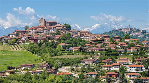 Piedmont Archives • Truffle Hunting Tours in Piedmont Region