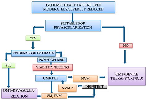 Life | Free Full-Text | Myocardial Viability Testing in the Management of Ischemic Heart Failure