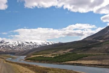 Vaglaskógur Forest | Visit North Iceland