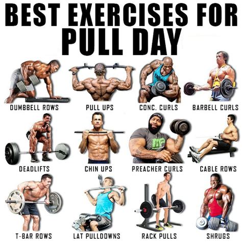 Pull Day Exercises | Push workout, Pull day workout, Push pull workout