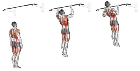 Jumping Pull Ups: Benefits, Muscles Worked, and More (with Pictures!) - Inspire US