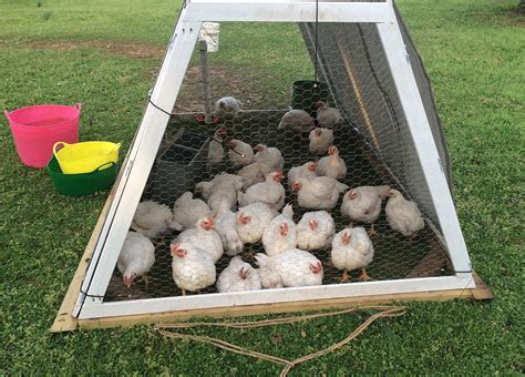 How to Build a Portable Fold-Flat Chicken Tractor - Free Plans | Hawk Hill