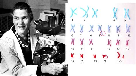 Philadelphia chromosome: Explained in 5 minutes!!!!!! # ...