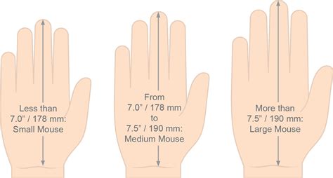 Normal Hand Size