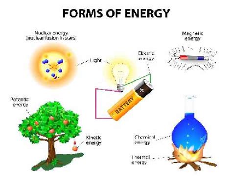 Various Forms Of Energy Class-8th Goyal Brothers ICSE Physics Solution Chapter-4 Unit-3 - ICSEHELP