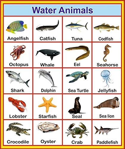 Water Animals Chart