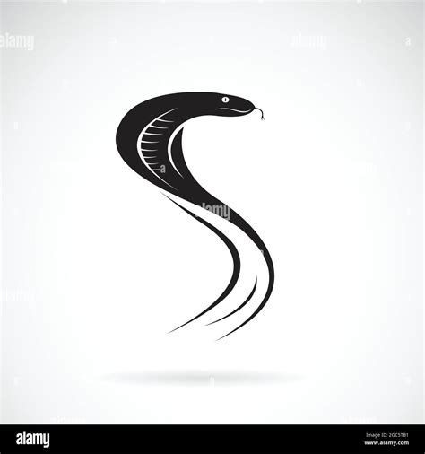 Vector of snake design on white background. Wild Animals. Snake logo or icon. Easy editable ...