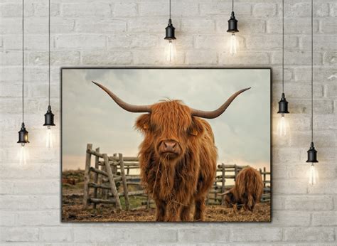 Highland Cow Wall Art Highland Cow Canvas Wall Art Canvas - Etsy Canada