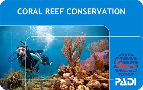 PADI Coral Reef Conservation (Bali) | Bali Dive Resort - Pebble & Fins