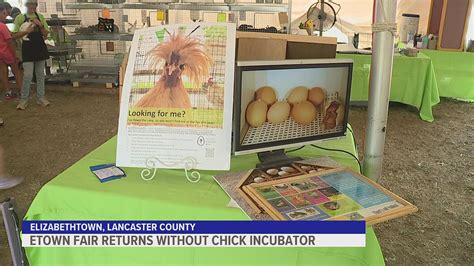 Chick incubator absent at Elizabethtown Fair | fox43.com