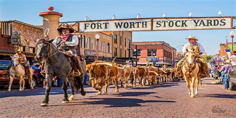 Fort Worth Herd Twice Daily Cattle Drive | Fort Worth Stockyards | Fort ...