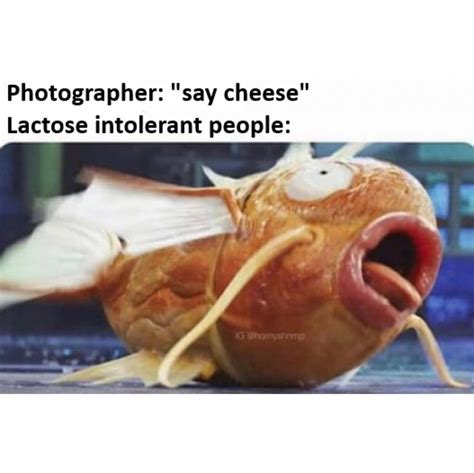 Photographer: "say cheese" Lactose intolerant people: - Funny