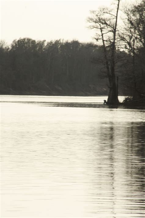 Apalachicola River | Fine art photography, Photography wall art, Art ...