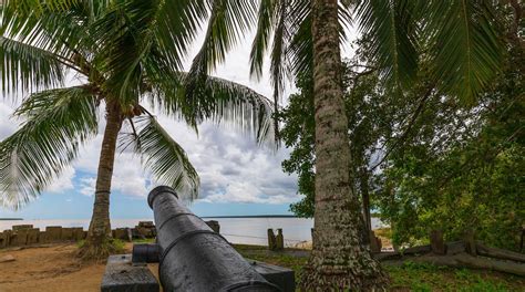 Visitez Suriname: guide touristique 2024 | Expedia.fr