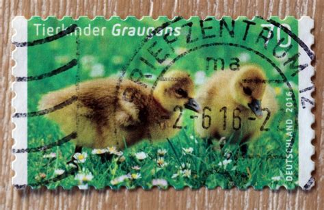 Mail Adventures: Chicken on Stamps (Just Because)