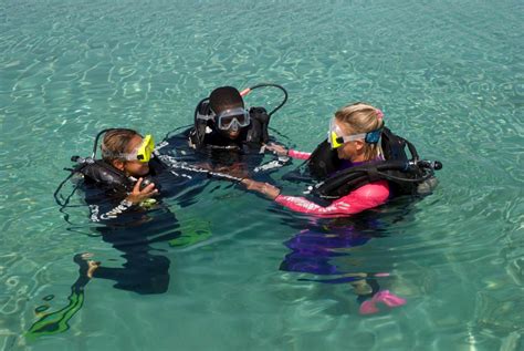 PADI Courses - Stuart Coves - Bahamas Dive Shop & Tours