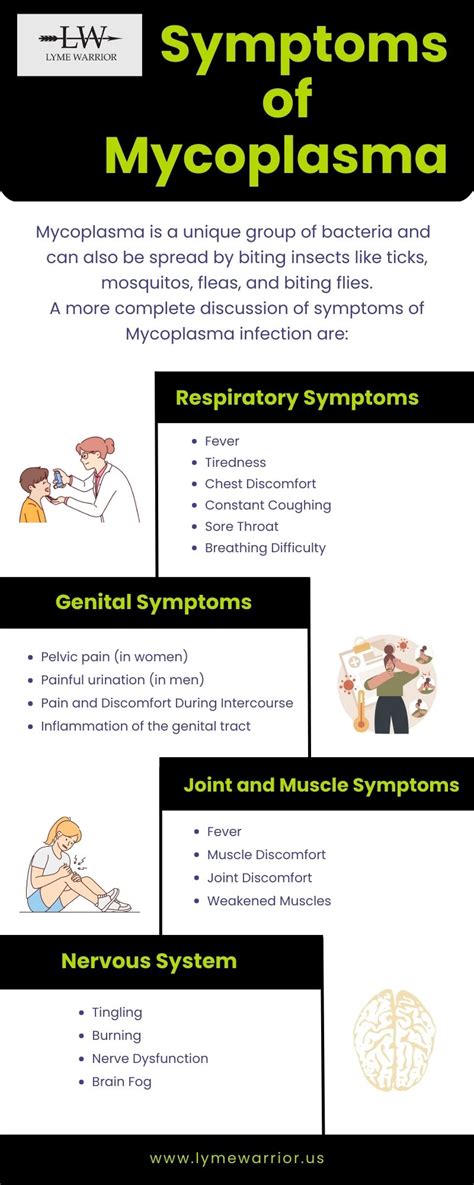 Mycoplasma Infection Symptoms - Social Social Social | Social Social Social