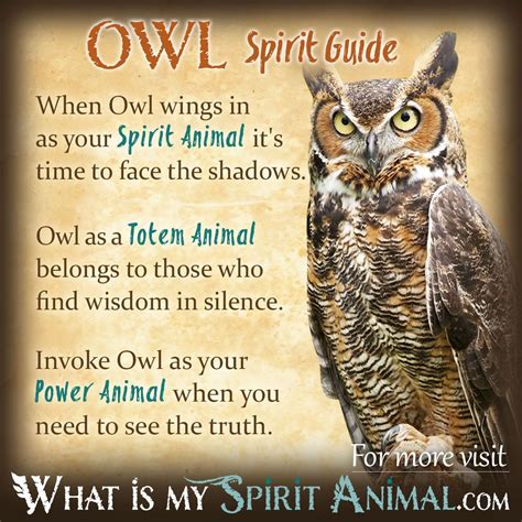 Meet your #SpiritAnimal! Take the real, fun & accurate Spirit Animal ...