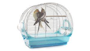 Types of Bird Cages & How to Pick the Best One - The Happy Chicken Coop