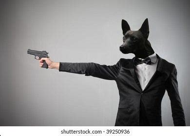 A cute dog playing with his new toy : r/wtfstockphotos