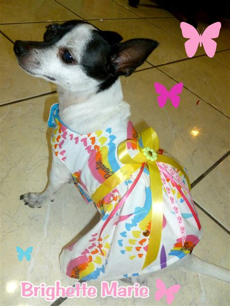 The Doggie House PR: Barbie Dog Dress