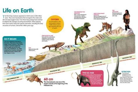 'Infographic That Describes Evolution of Life on Earth Throughout the ...