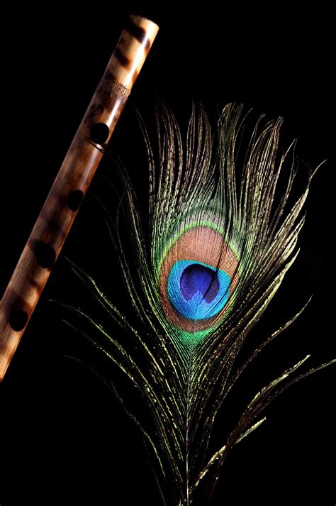 Peacock Feather With Flute - 2848x4288 - Download HD Wallpaper ...