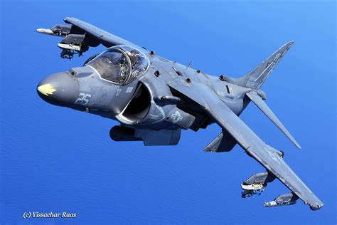 Harrier – a Living Legacy