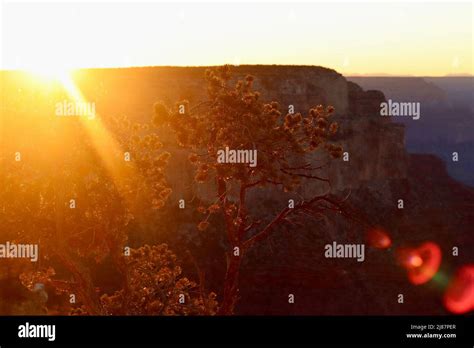 Grand Canyon sunrise Stock Photo - Alamy