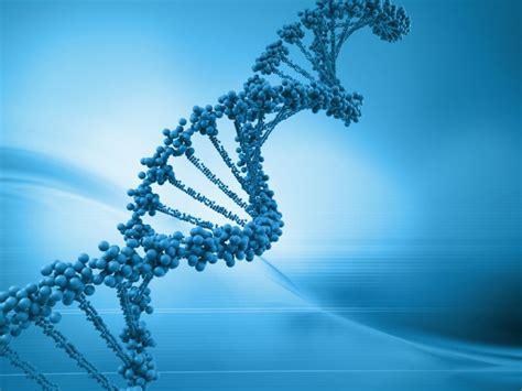 DNA SHOULD DECAY AWAY IN ABOUT 125,000 YEARS – Evolution is a Myth