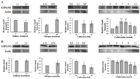 Marine Drugs | Free Full-Text | Identification, Characteristics and ...