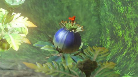 How to get Bomb Flowers in Zelda Tears of the Kingdom | Eurogamer.net