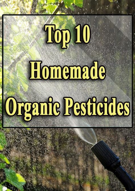 Quiet Corner:Top 10 Homemade Organic Pesticides - Quiet Corner