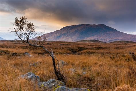 Across the Moorland | Taken in Scotland near Rannoch Moor. | Carl Jorgensen | Flickr