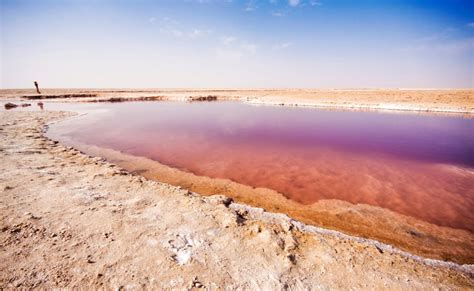 Chott el Djerid - Voyage Tunisie