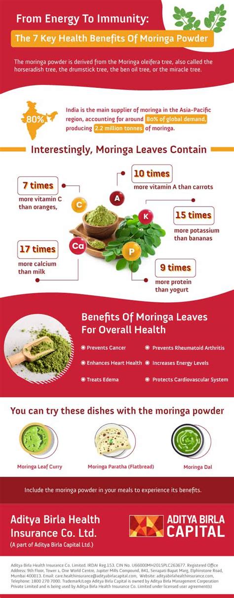 Can Moringa Powder Help You Reduce Healthcare Costs?