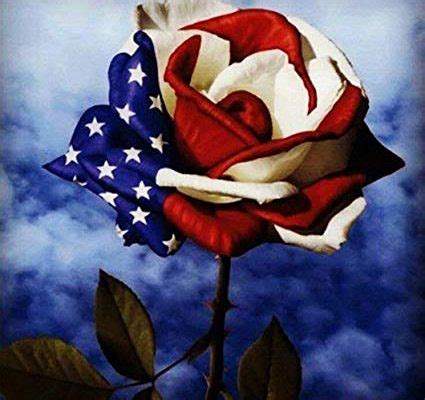 Rose: The National Flower of United States | HELONATIONAL.com