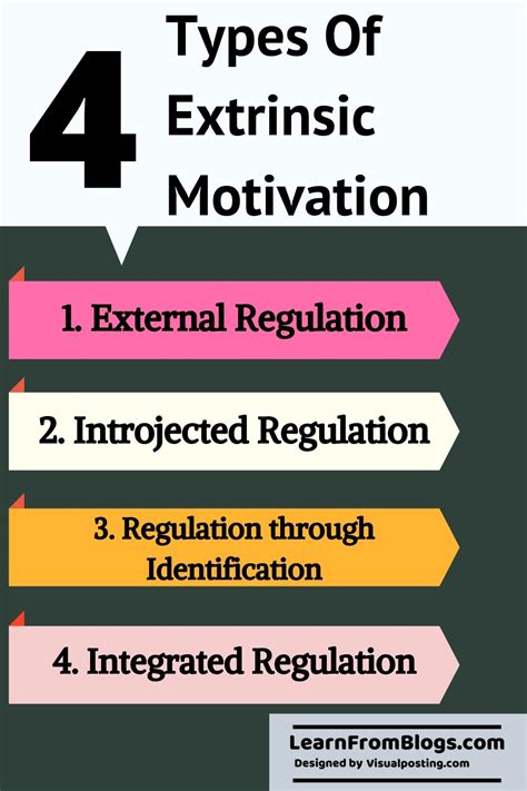 Types of Extrinsic Motivation: Understanding External Incentives - Motivation